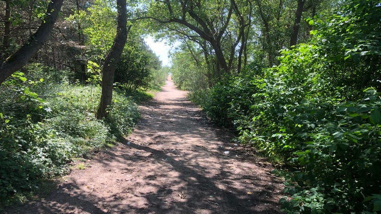 Formby NT Bridleway Trial